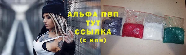 apvp Алзамай