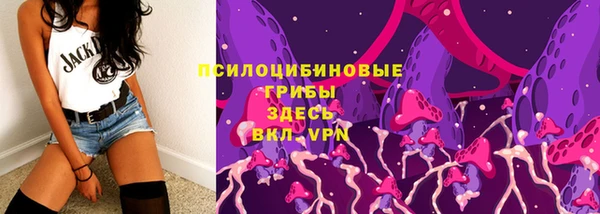 apvp Алзамай