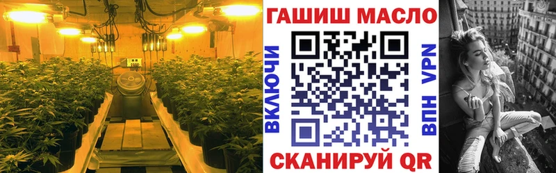 закладки Новороссийск ТГК концентрат