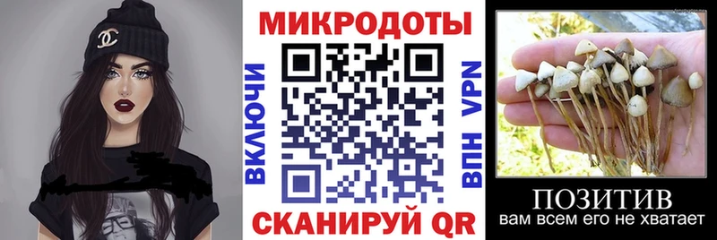 Псилоцибиновые грибы Cubensis  сколько стоит  Новороссийск 